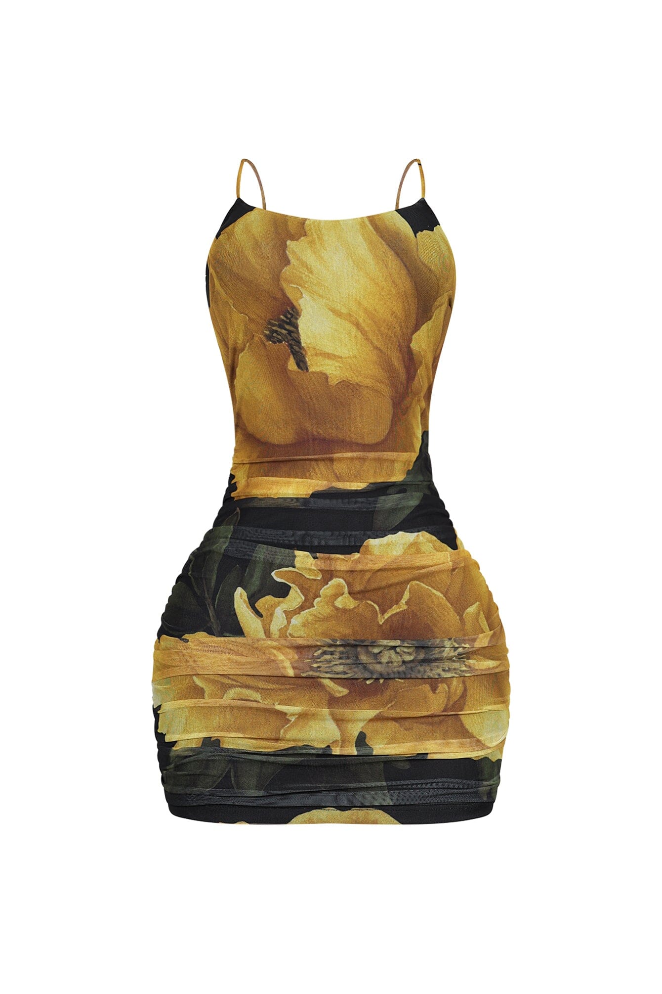 Luciana Mesh Floral Print Mini Dress