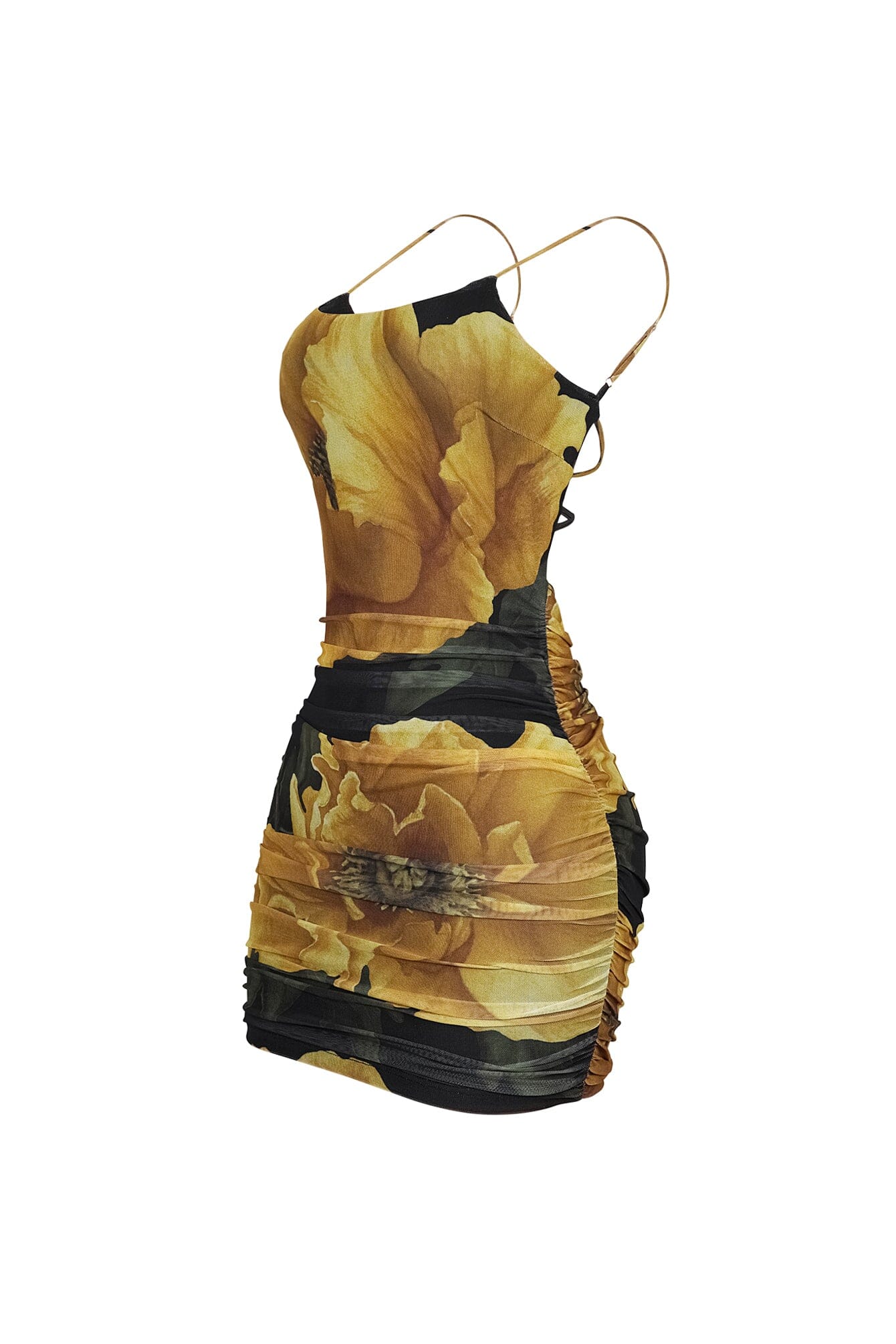 Luciana Mesh Floral Print Mini Dress