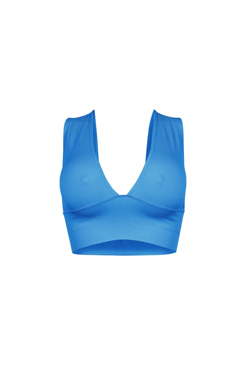 The Baby Ribbed Deep V-Neck Top