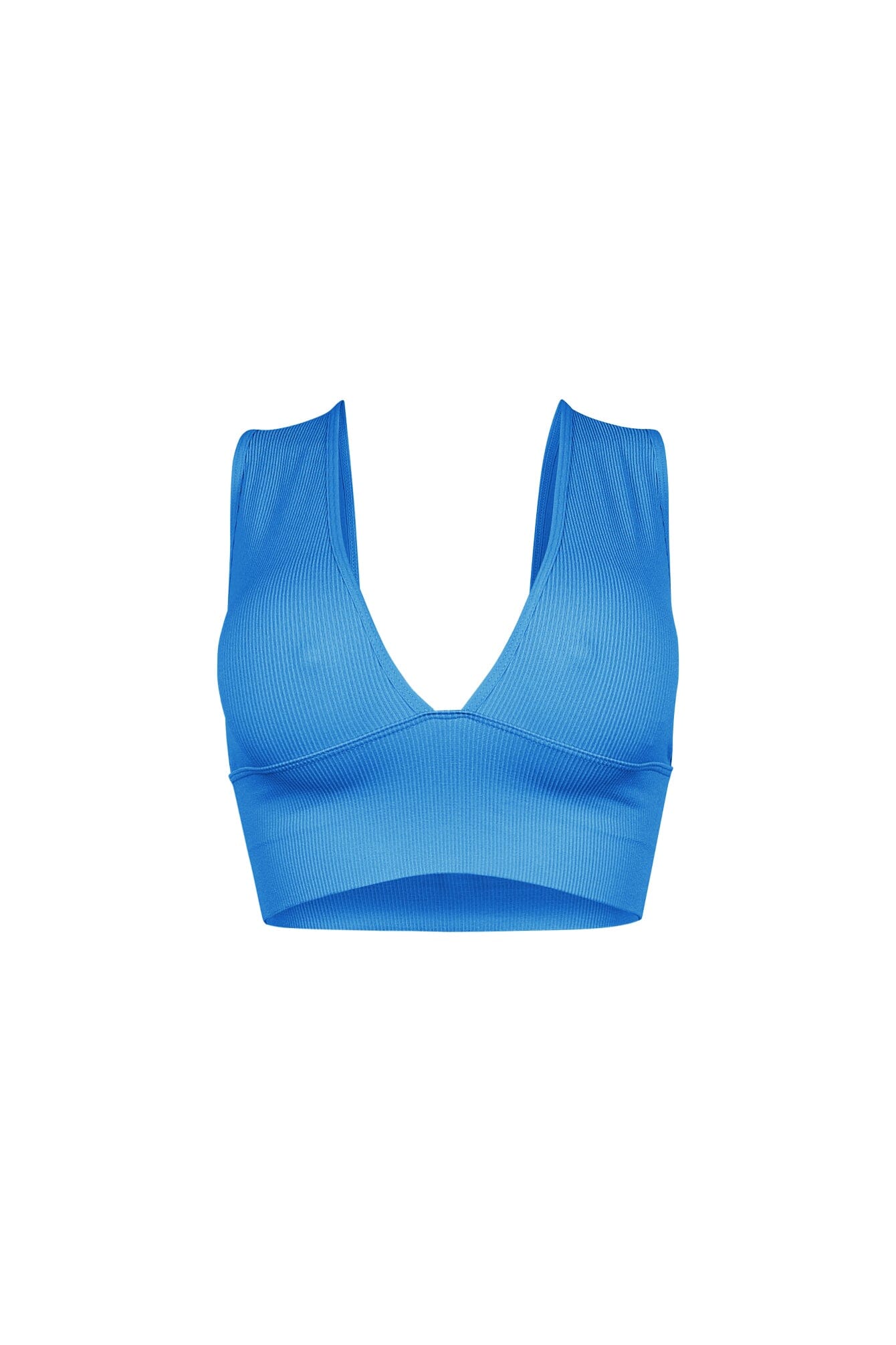 The Baby Ribbed Deep V-Neck Top