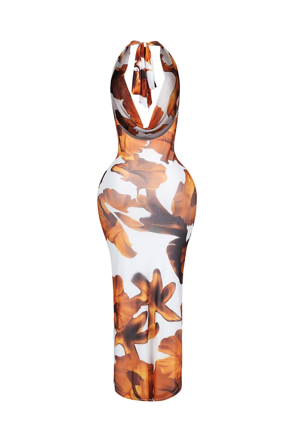 Sundaze Print Mesh Cowl Neck Maxi Dress