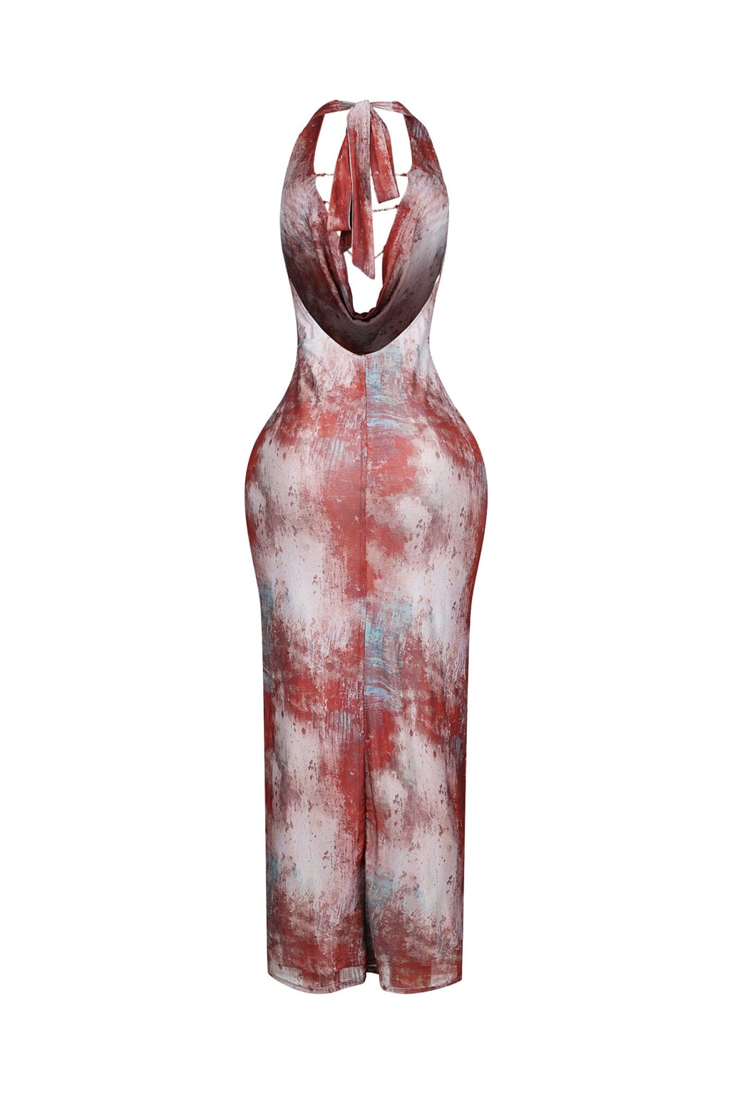 Cowl Charm Printed Mesh Maxi Dress