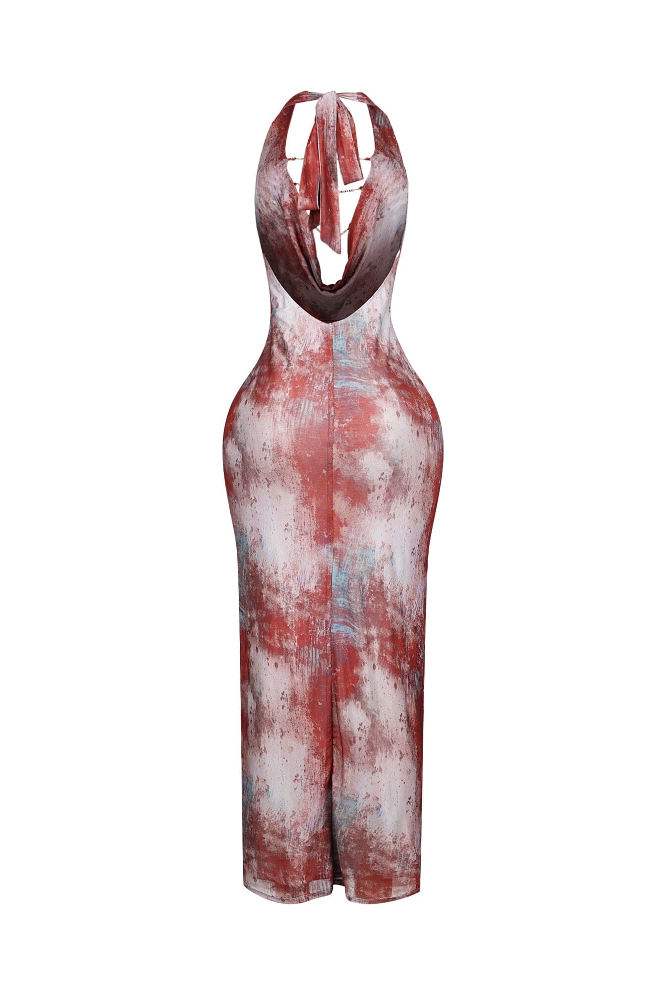 Cowl Charm Printed Mesh Maxi Dress