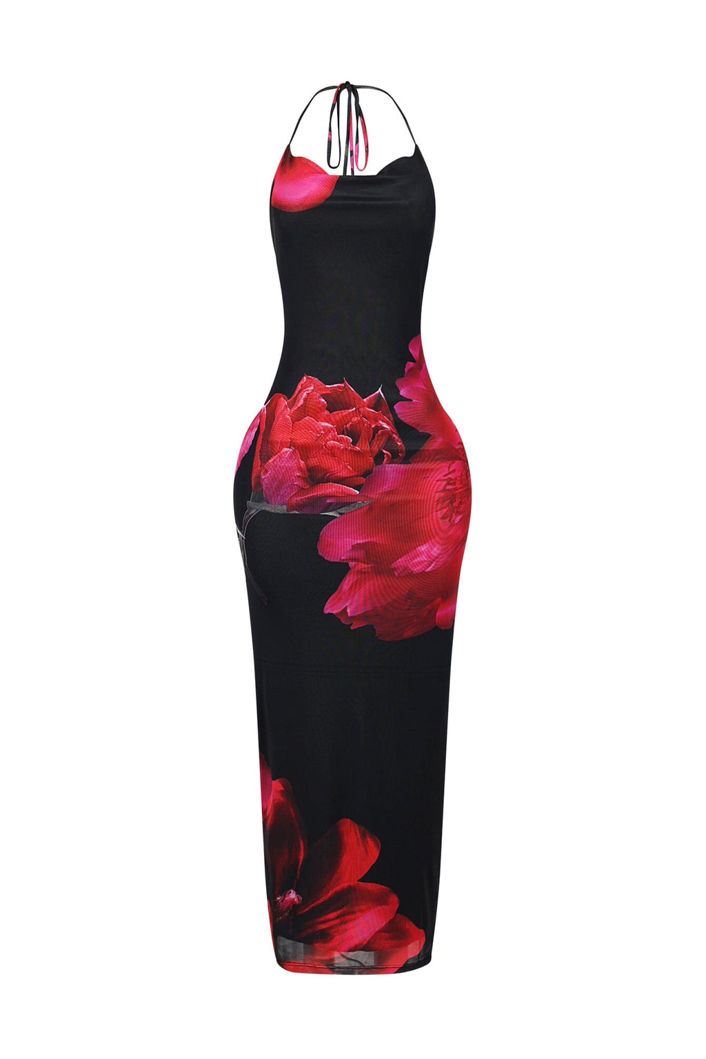 Samba Petal Mesh Print Halter Maxi Dress