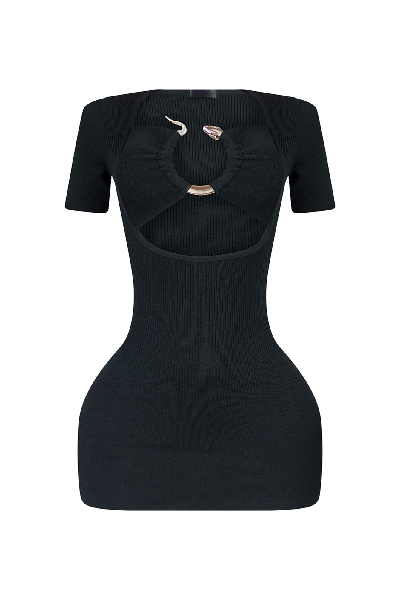 Slither Snake Trim Cut Out Mini Dress