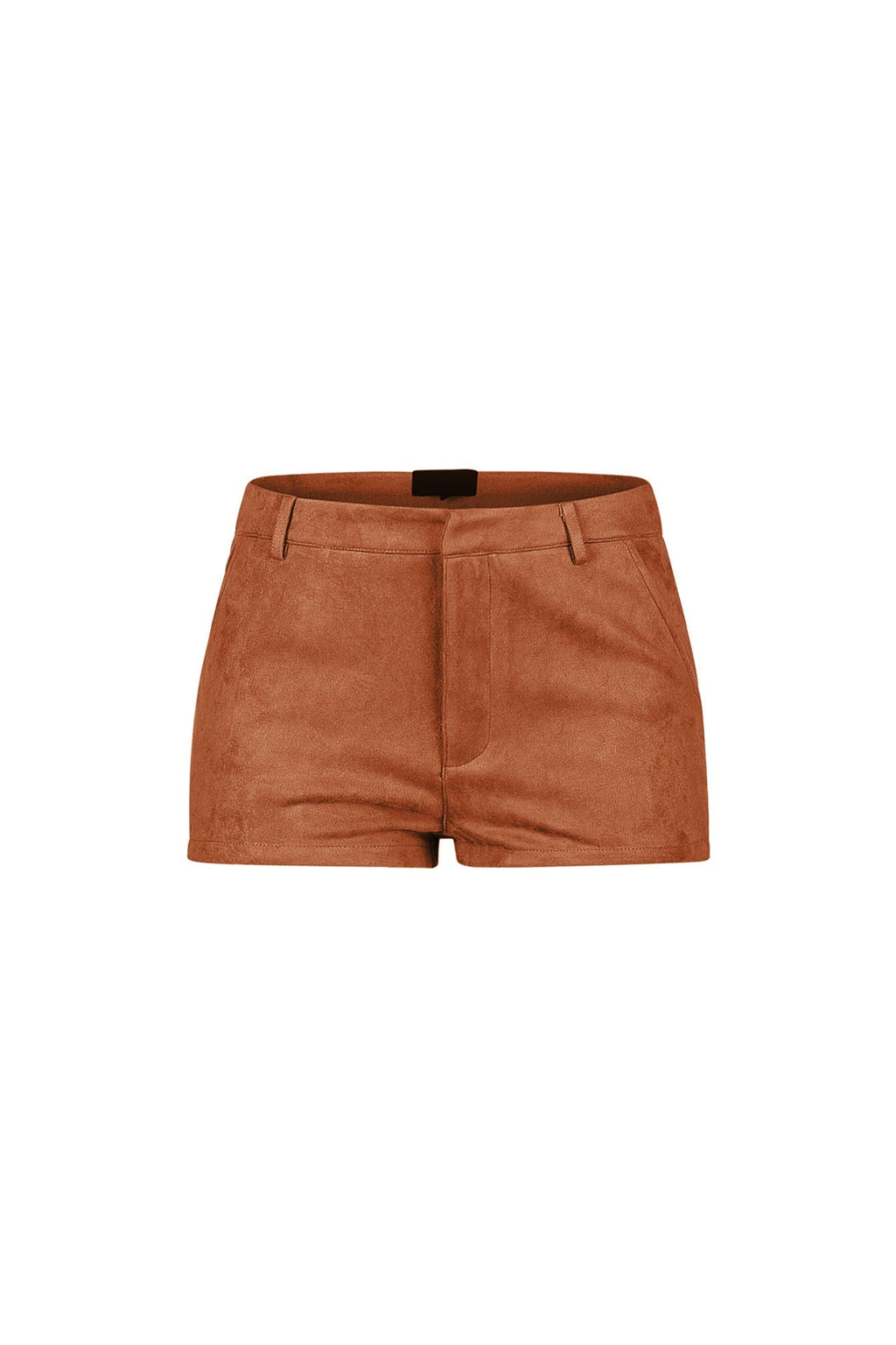 Dependable Suede Shorts