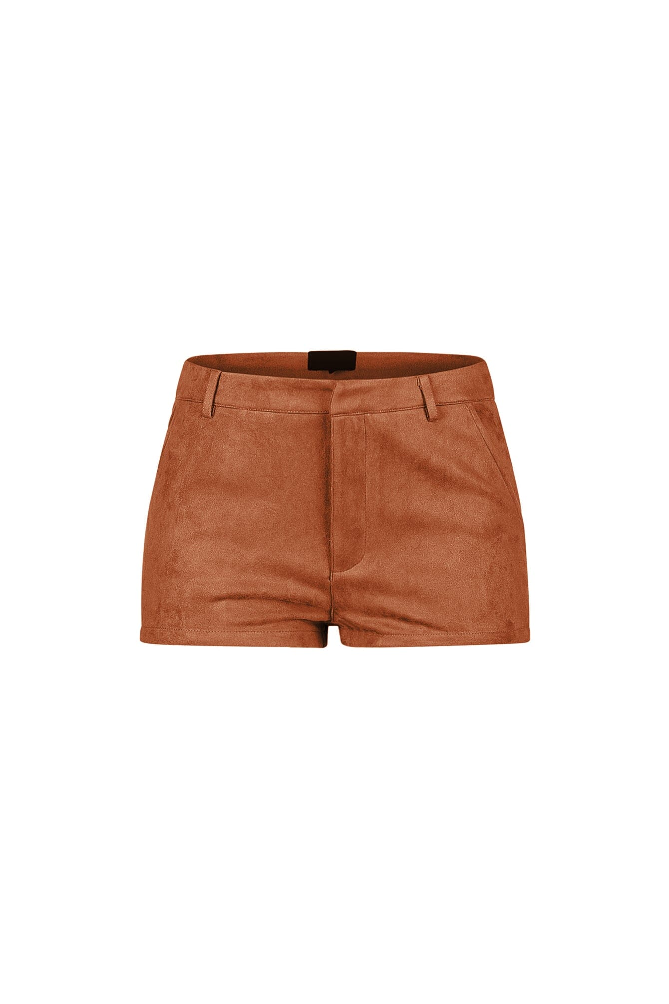 Dependable Suede Shorts