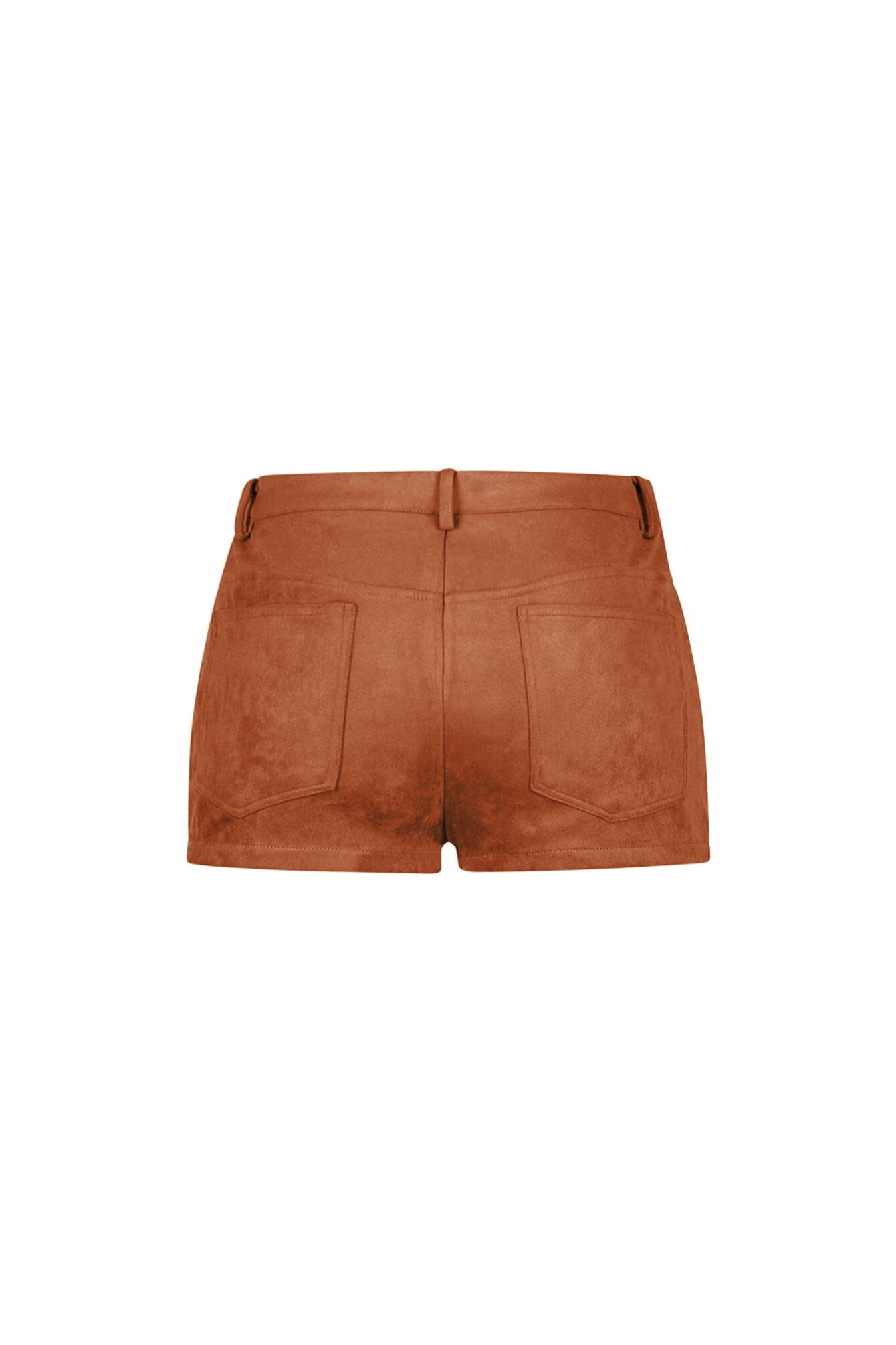Dependable Suede Shorts