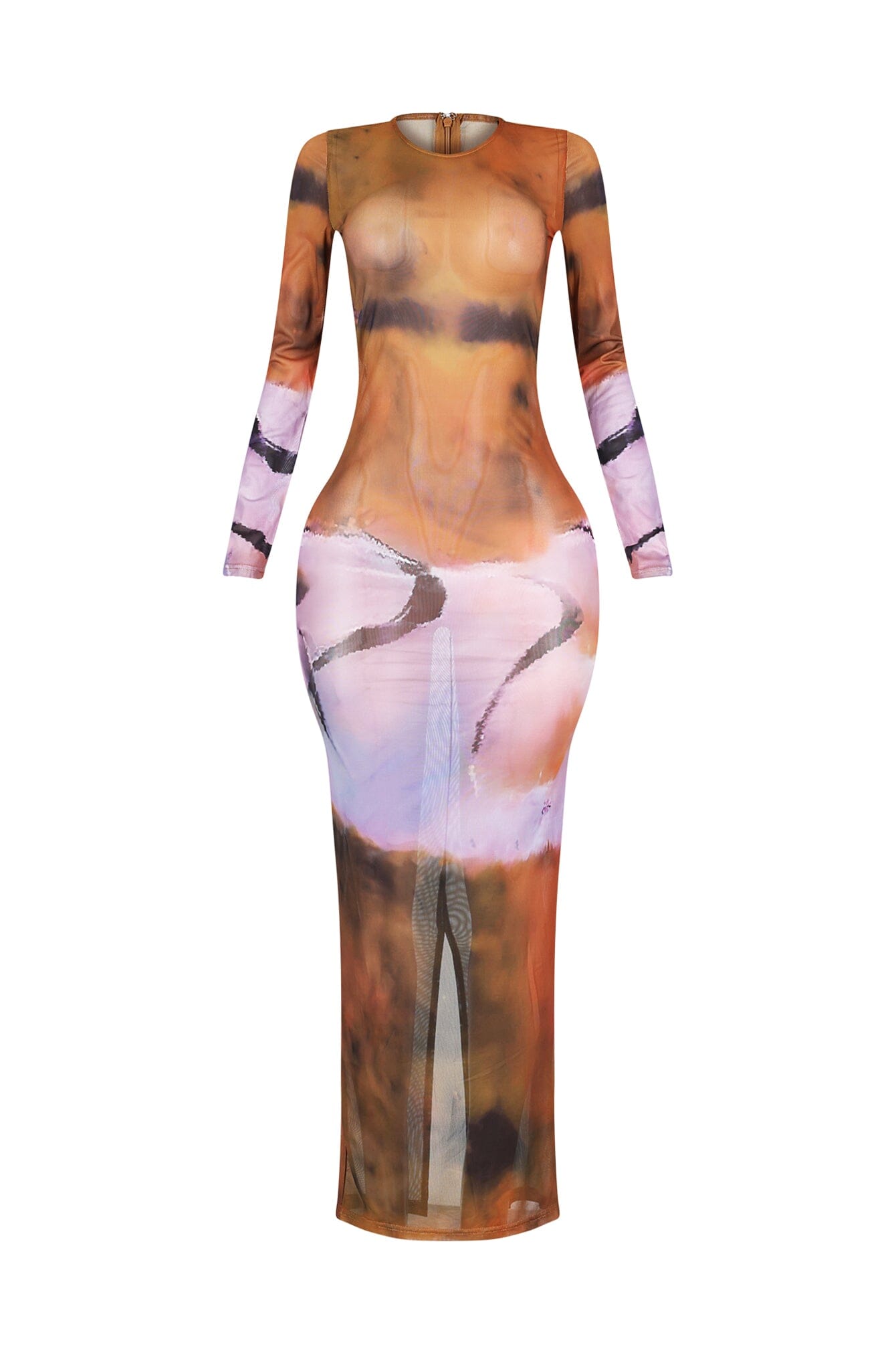 Ronda Mesh Print Long Sleeve Dress