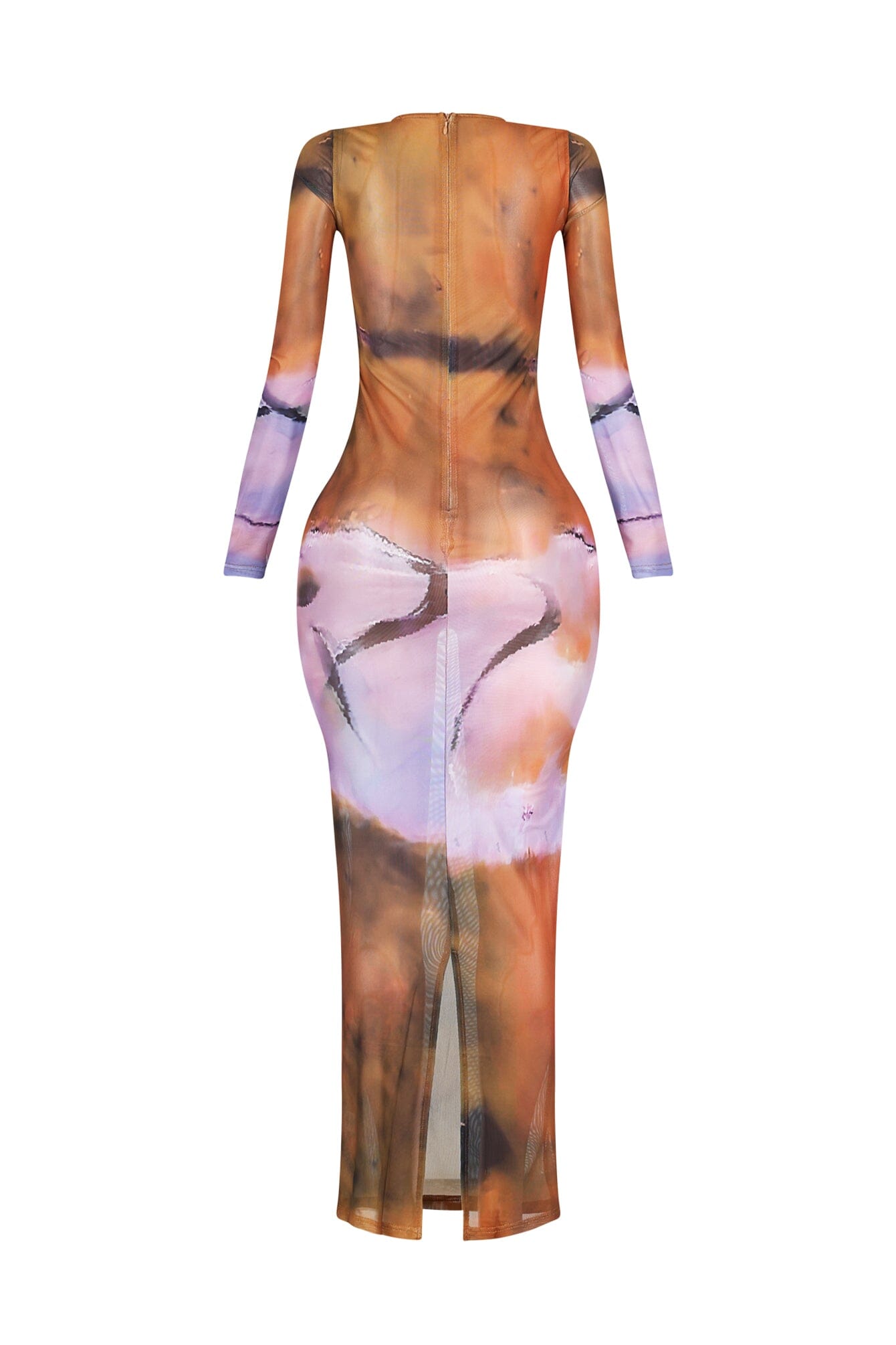 Ronda Mesh Print Long Sleeve Dress