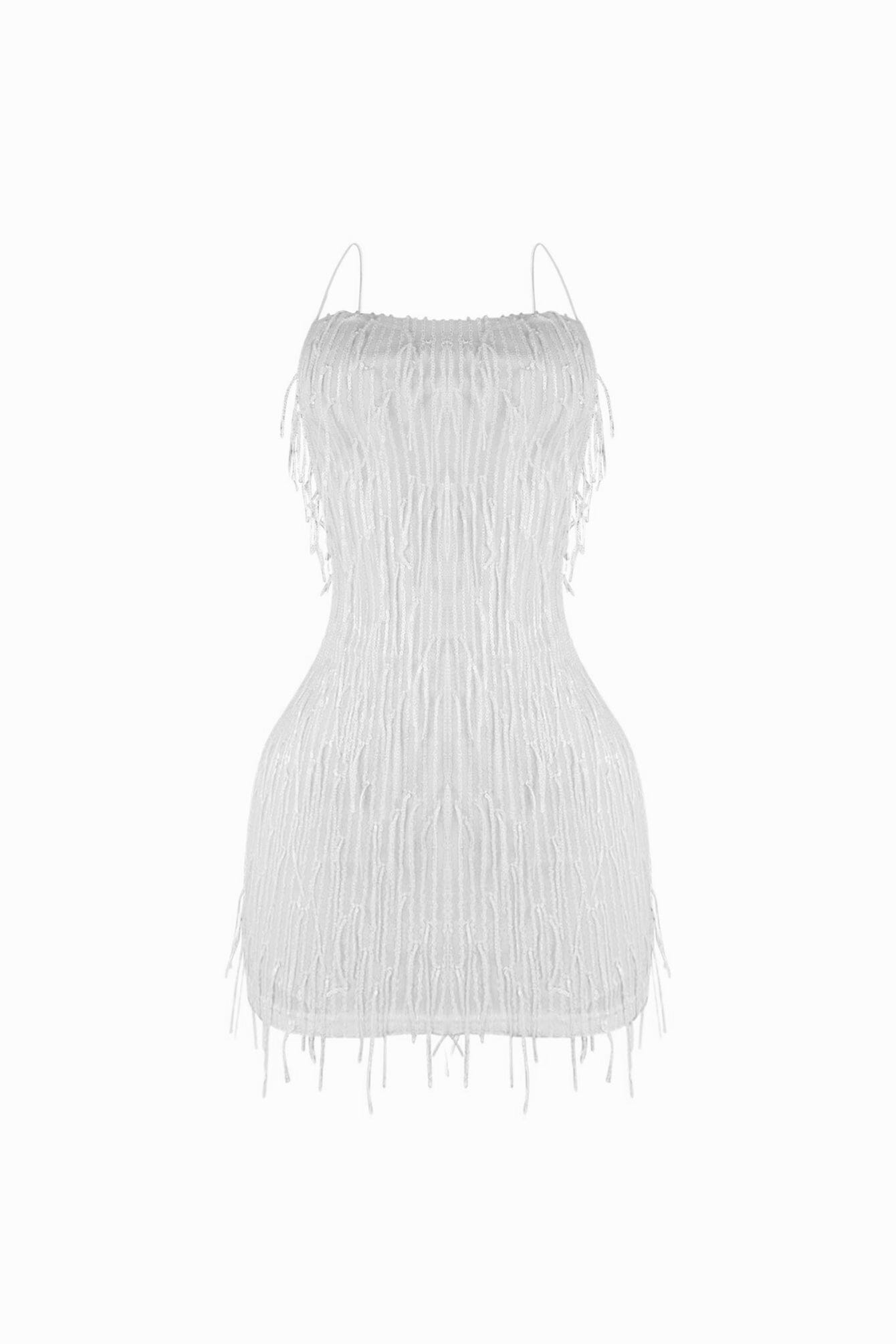 Attractive Sequin Fringe Mini Dress