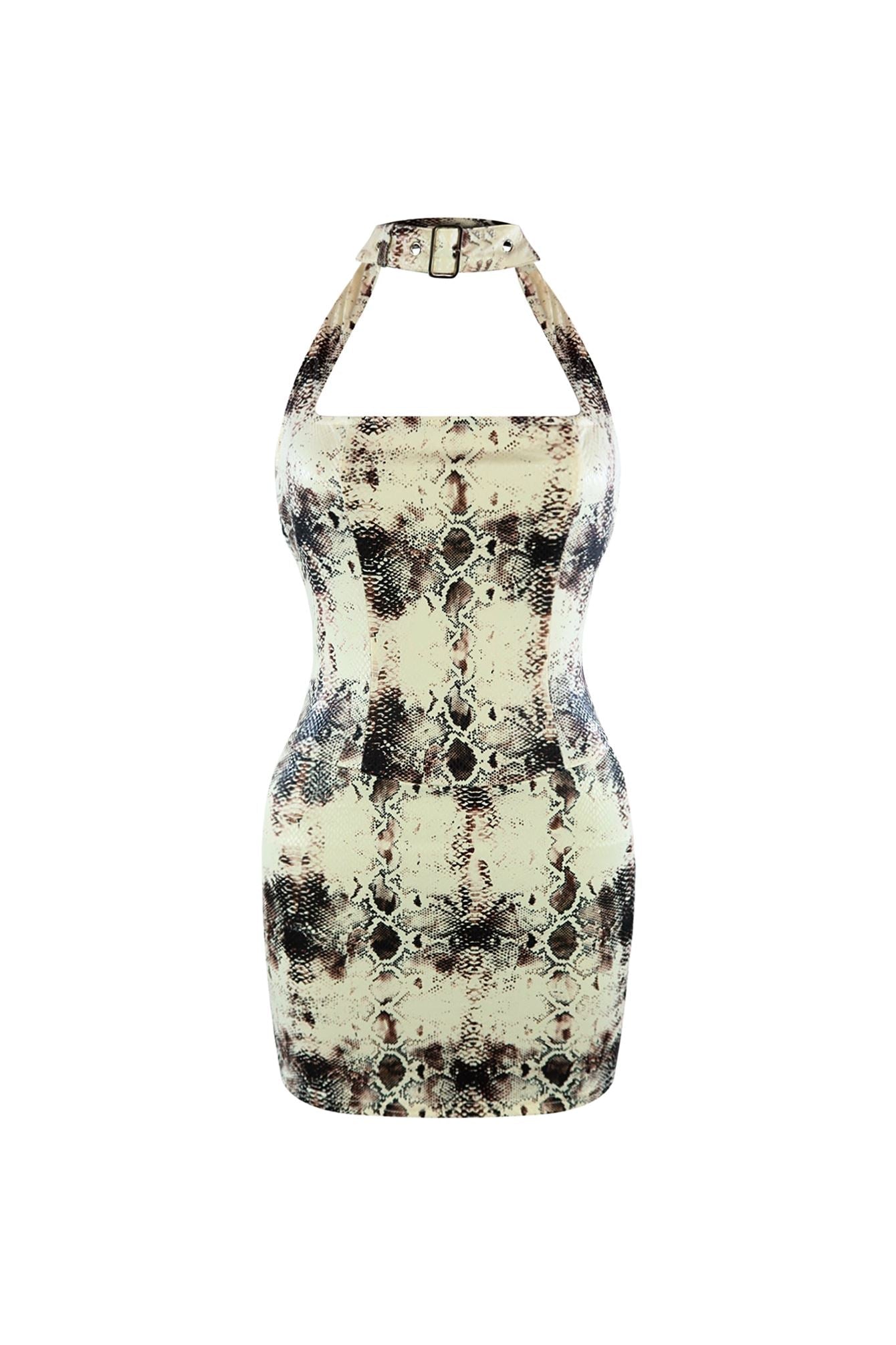 Snatch Me Snake Print Mini Dress